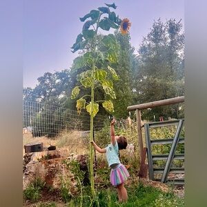 Meet your Posher, Krysta